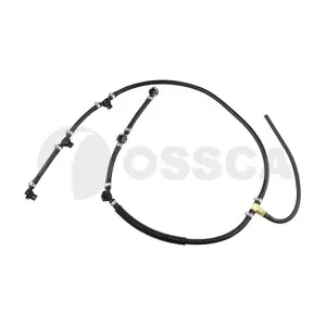 54481 OSSCA