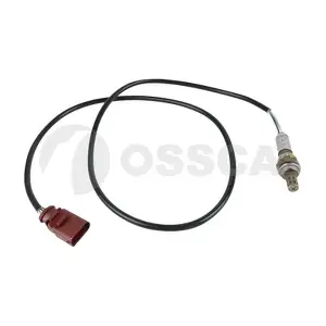50995 OSSCA