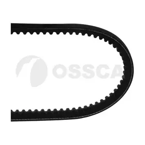 11055 OSSCA