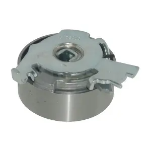 OSSCA 02556