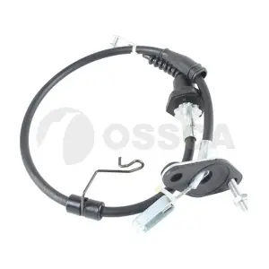 57564 OSSCA