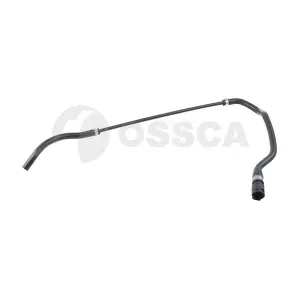 29431 OSSCA