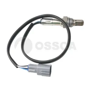 20874 OSSCA