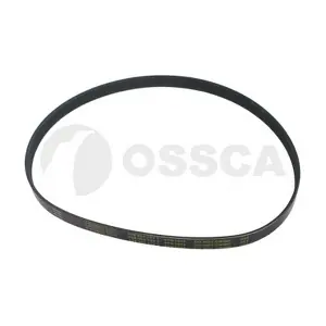 04695 OSSCA