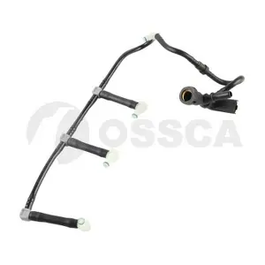 69149 OSSCA