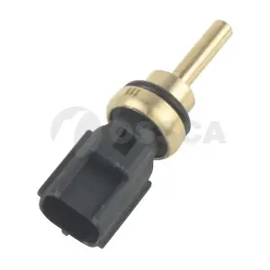 24562 OSSCA