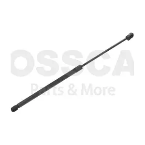 66141 OSSCA