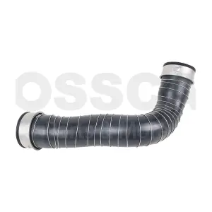 55991 OSSCA