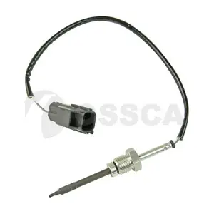 32307 OSSCA