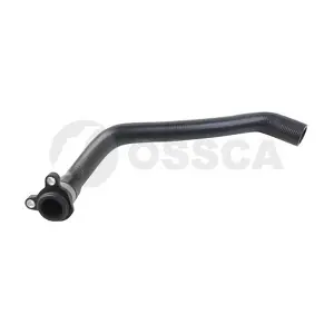 29428 OSSCA