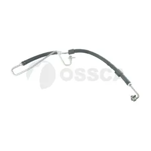 79581 OSSCA