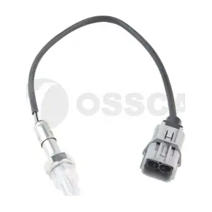 41570 OSSCA