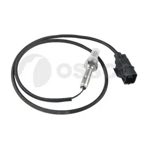 41569 OSSCA