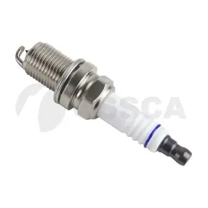 84305 OSSCA