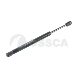 22930 OSSCA