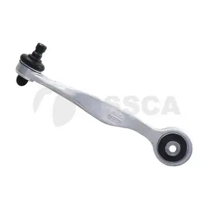 OSSCA 00196