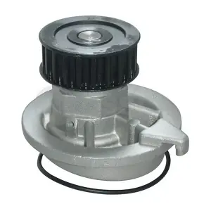OSSCA 00542