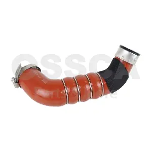 33734 OSSCA