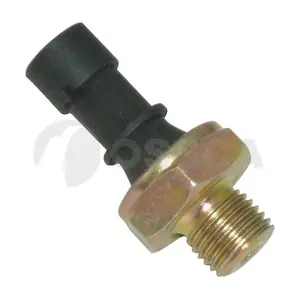 OSSCA 00555