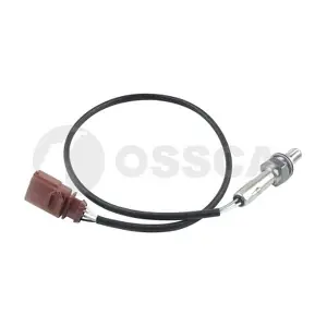 53843 OSSCA