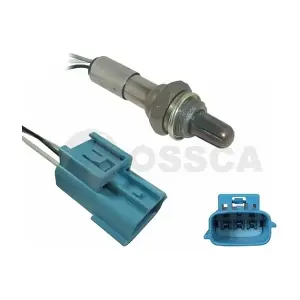 41060 OSSCA