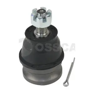 20677 OSSCA