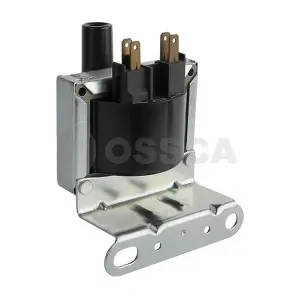 OSSCA 00243