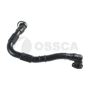 36062 OSSCA