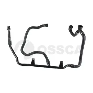 33389 OSSCA