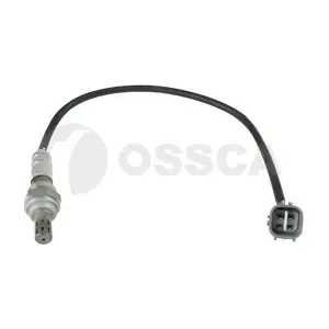 62433 OSSCA