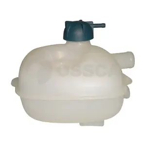 00746 OSSCA