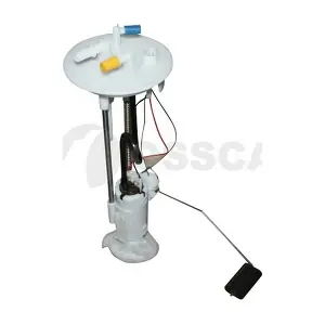 12636 OSSCA