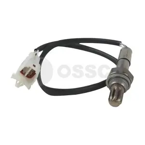 22136 OSSCA