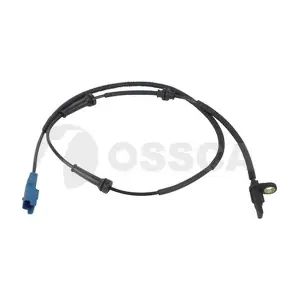 13101 OSSCA