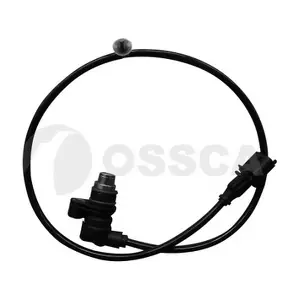 31080 OSSCA