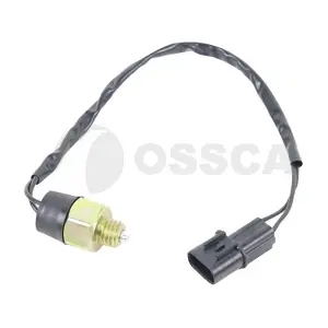 27176 OSSCA