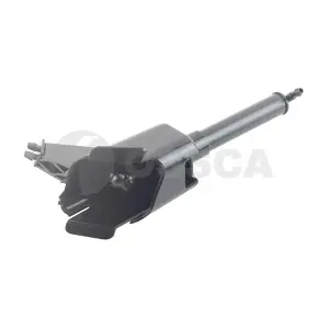 68158 OSSCA