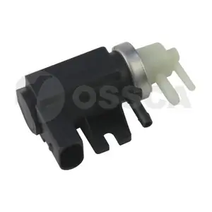 32817 OSSCA