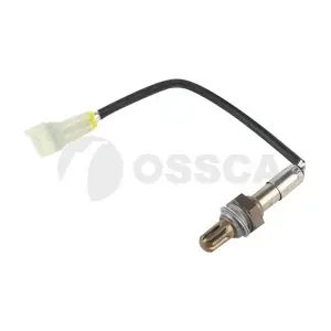 23122 OSSCA