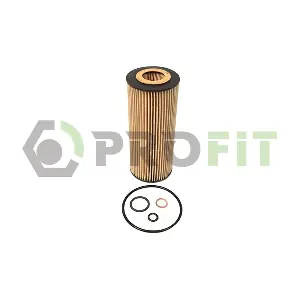 1541-0294 PROFIT