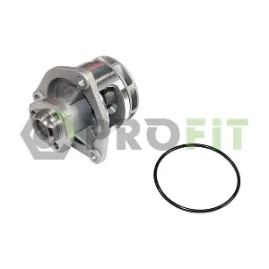 1701-0730 PROFIT