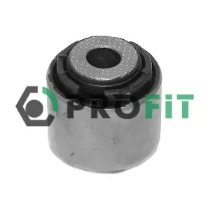 2307-0669 PROFIT