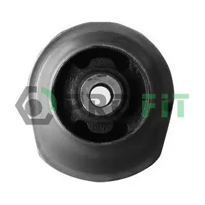 2307-0243 PROFIT