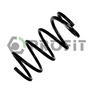 2010-1907 PROFIT