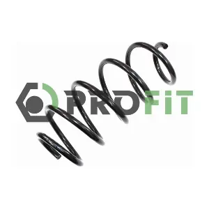 2010-2010 PROFIT