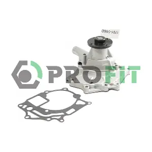 1701-0660 PROFIT