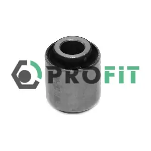 2307-0699 PROFIT