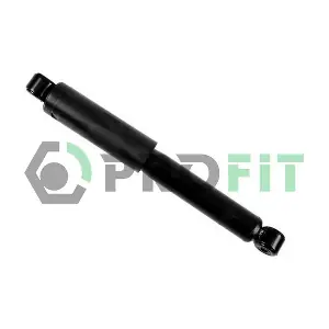 PROFIT 2001-0407