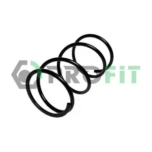 PROFIT 2010-0862