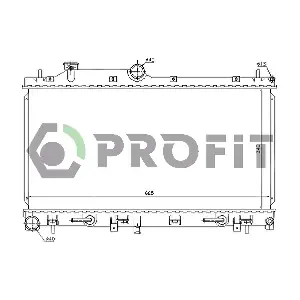 PR2910A2 PROFIT
